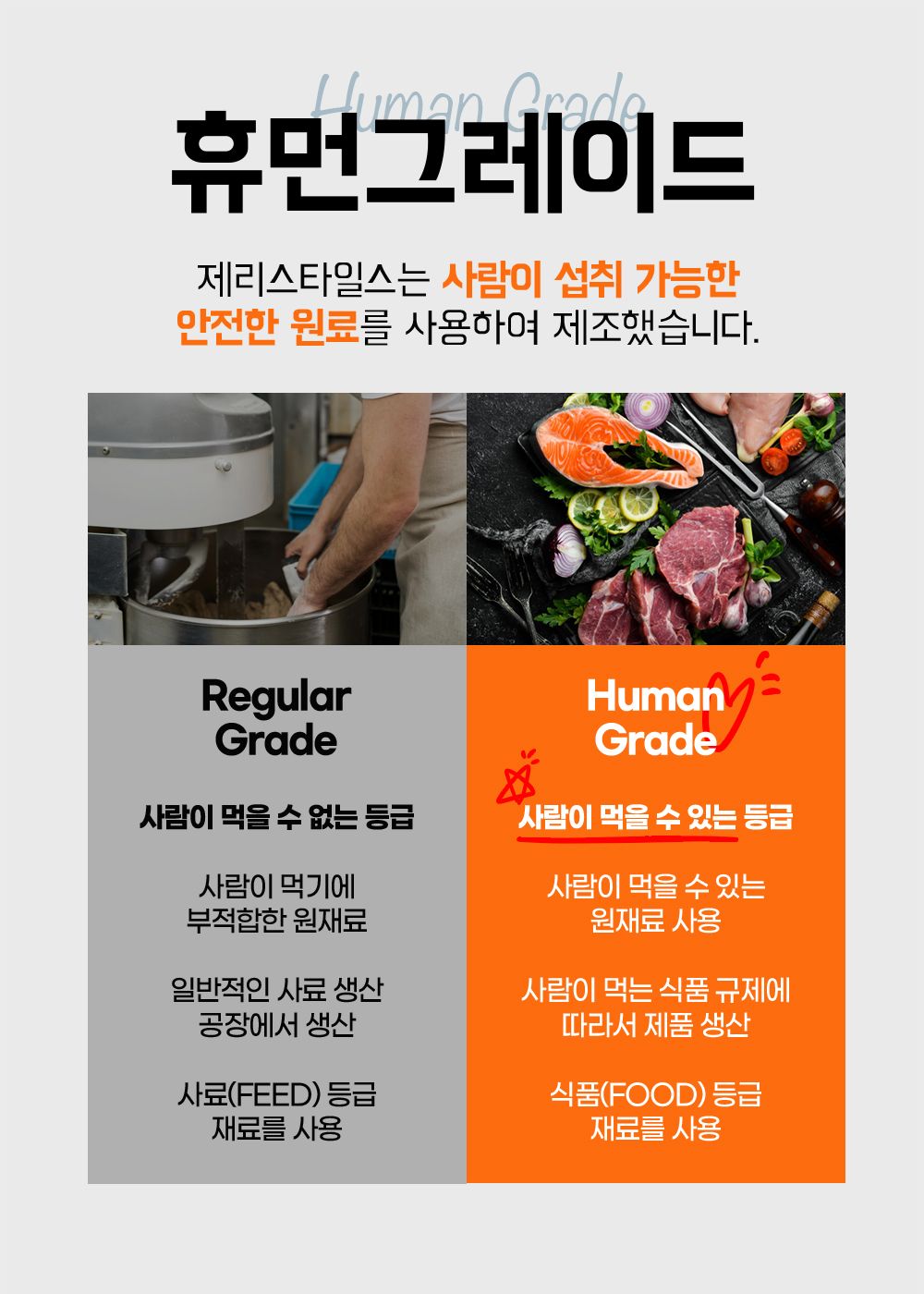 제리스타일스 독 기관지 영양제 153g 2번째