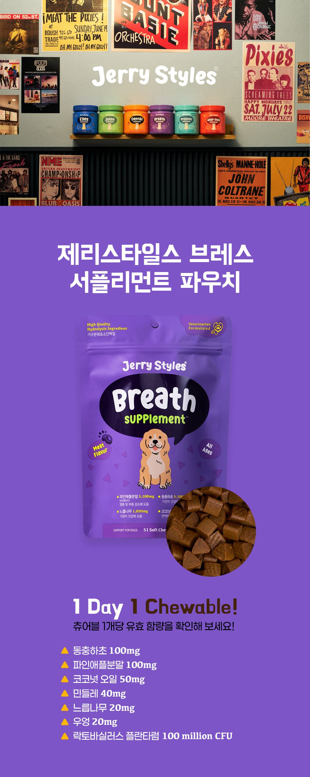 제리스타일스 독 기관지 영양제 153g 8번째