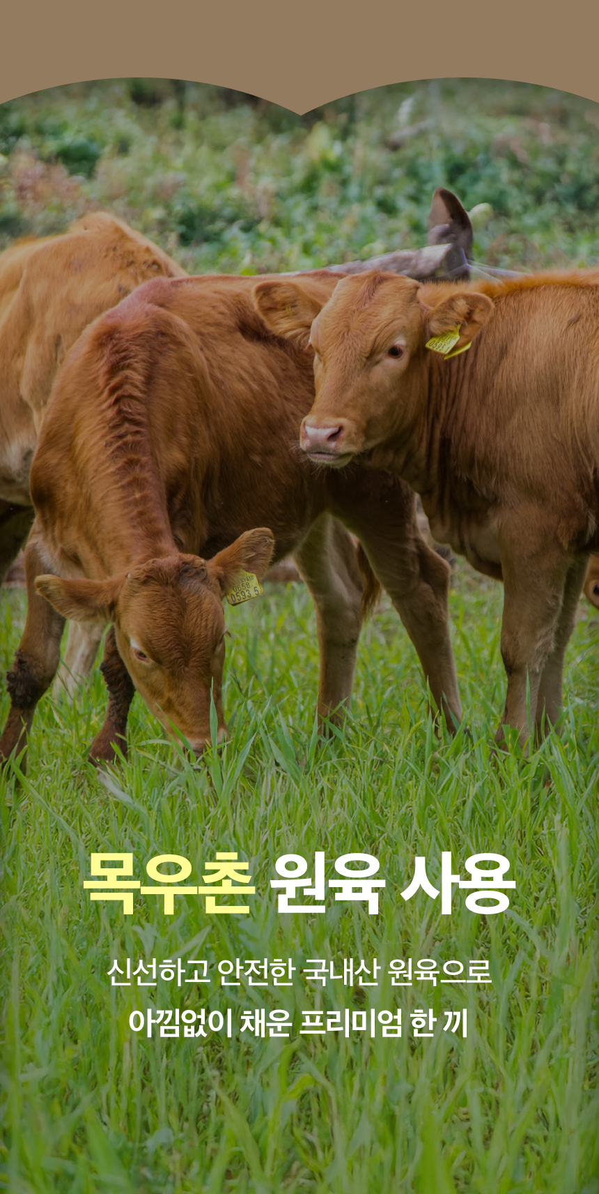[X-MAS특가][무료배송] 목우촌 펫9단 독 기능성 소프트 사료 닭고기 1kg 8번째