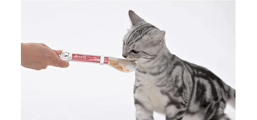 [무료배송] 뽀시래기 캣 든든한 짜먹는 간식 닭가슴살/연어/참치 12g*100p   5번째