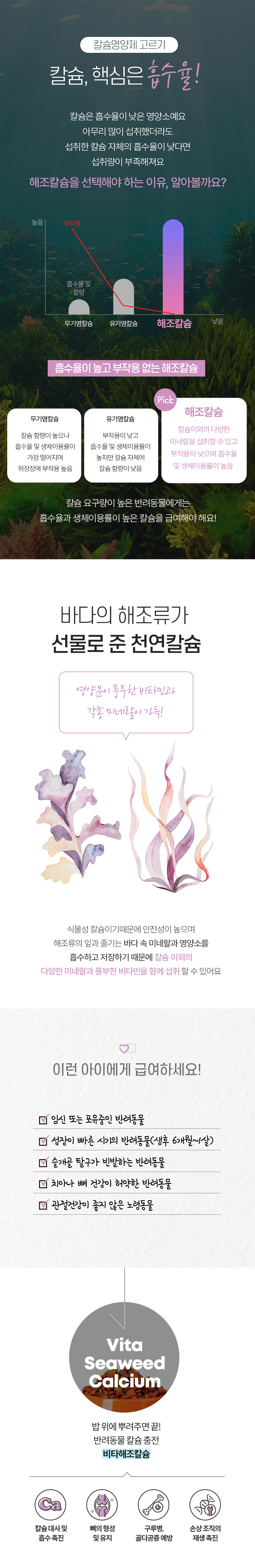 [무료배송] 멍냥이랑 비타해조칼슘 반려동물 칼슘 비타민 영양제 60g 2번째