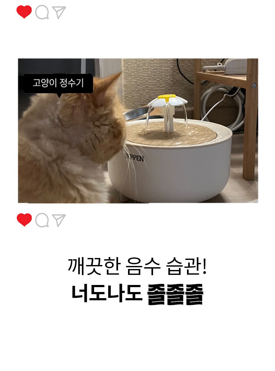 [무료배송] 베픈 정수기 2.5L 4번째
