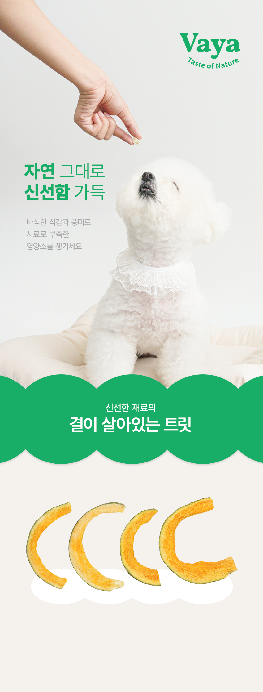 [무료배송] 바야 동결건조 반달단호박 40g 5번째