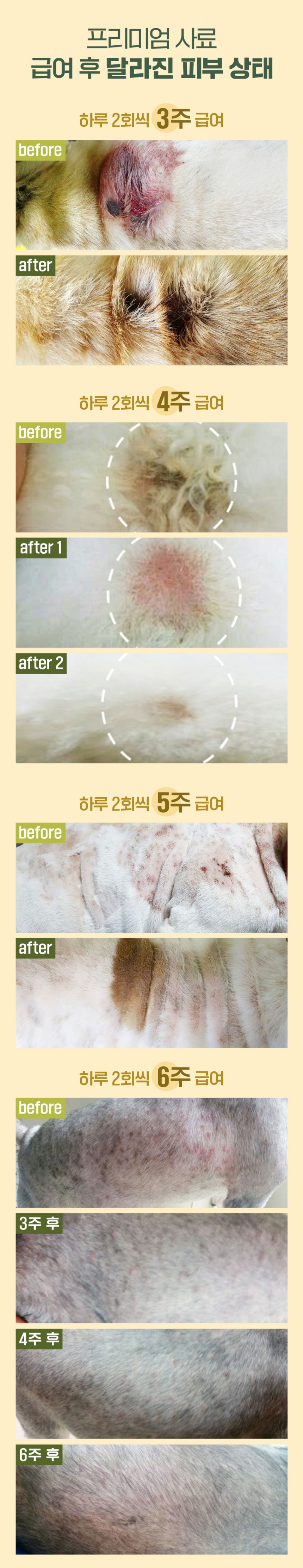 [무료배송] 맘앤대디 독 식사 2kg 3번째 상세 이미지