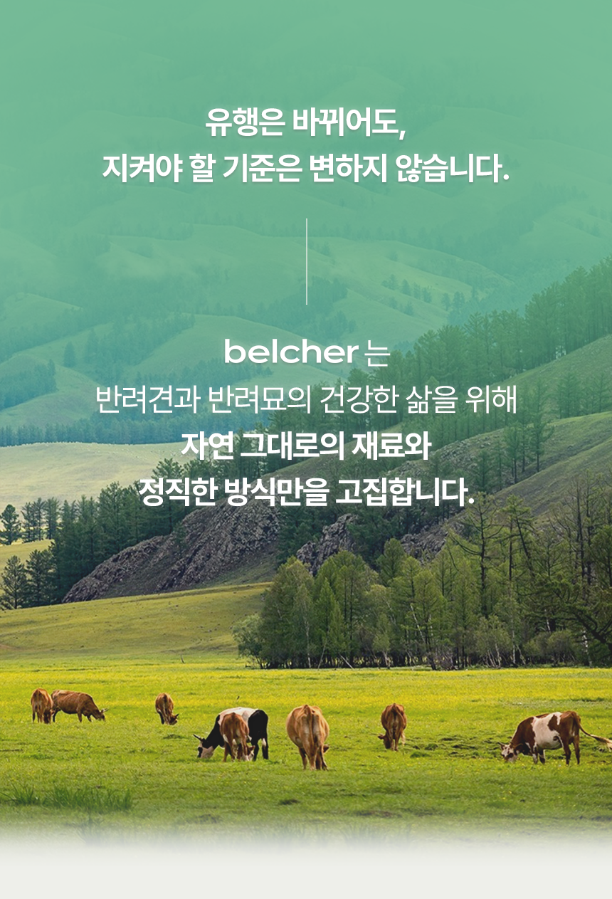 [무료배송] 벨체르 프리미엄 저알러지 수제간식 13종 [모음] 3번째