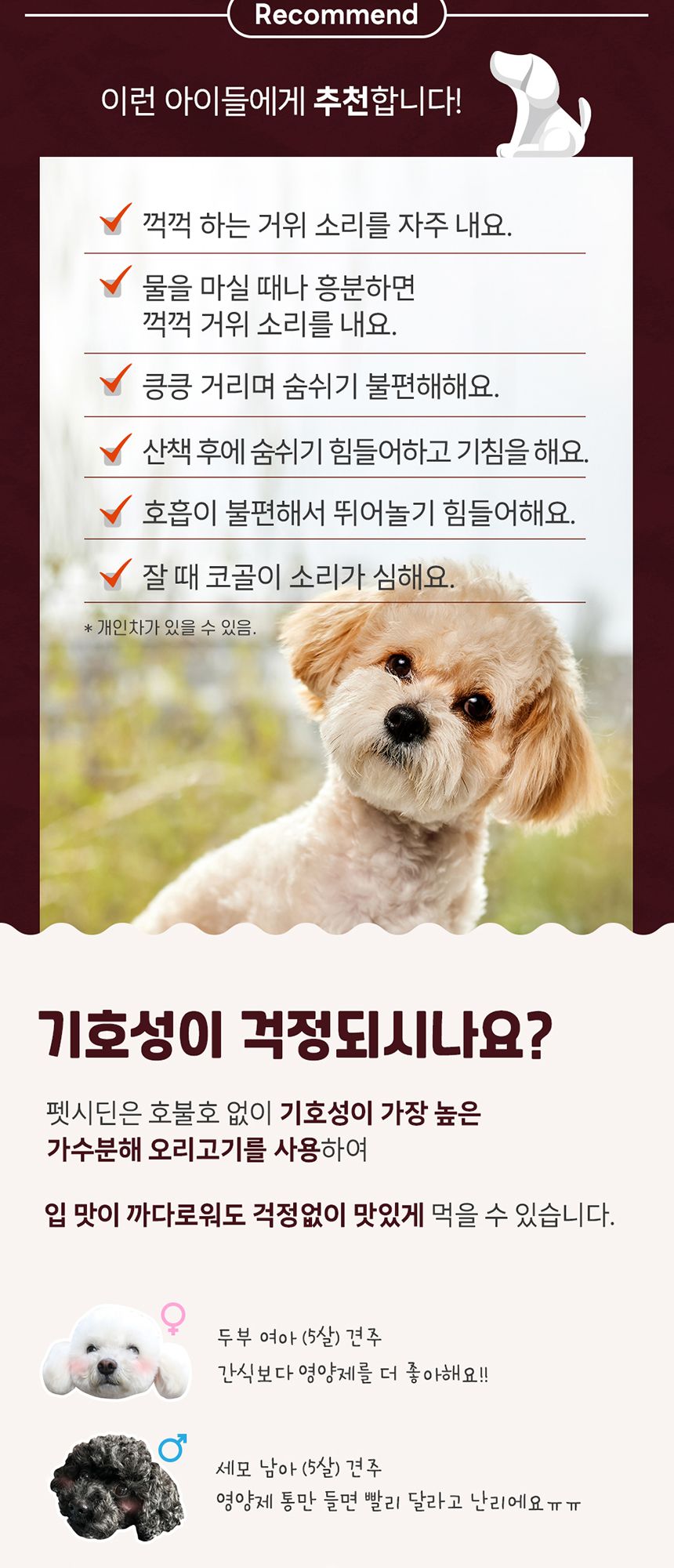 펫시딘 독 도라지추출물 사포닌 기관지 호흡기 영양제 60g 6번째