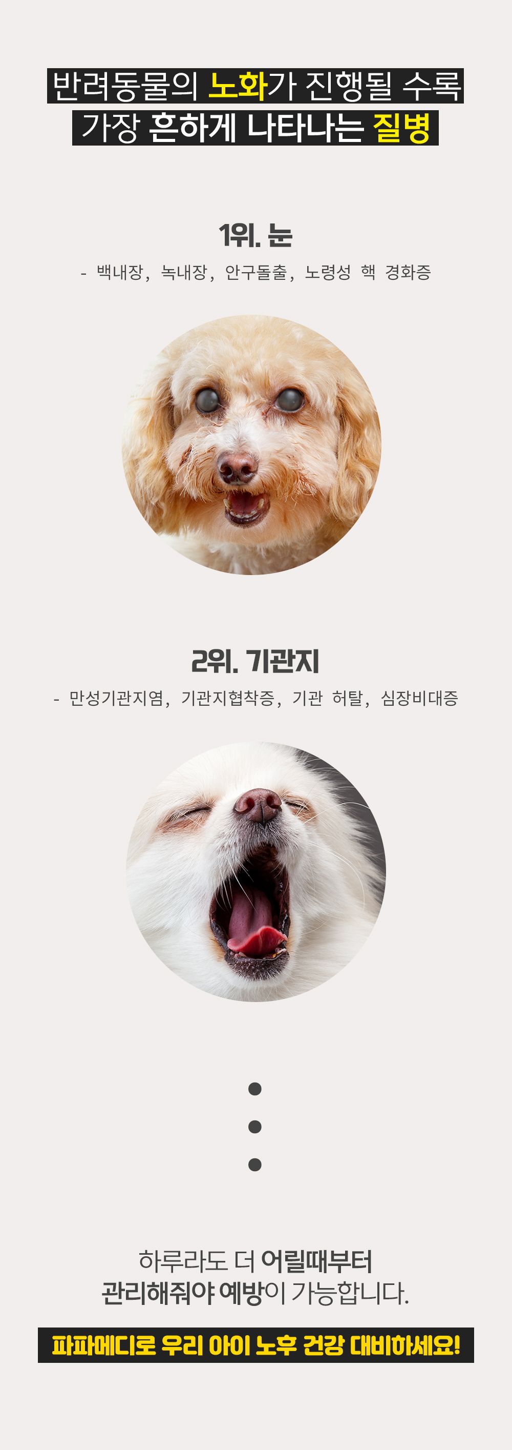 [무료배송] 파파메디 노후건강 눈&기관지 2종 세트 2번째