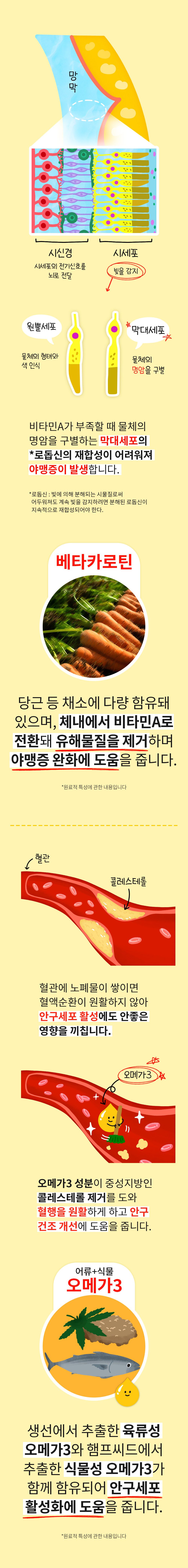 [무료배송] 파파메디 노후건강 눈&기관지 2종 세트 13번째
