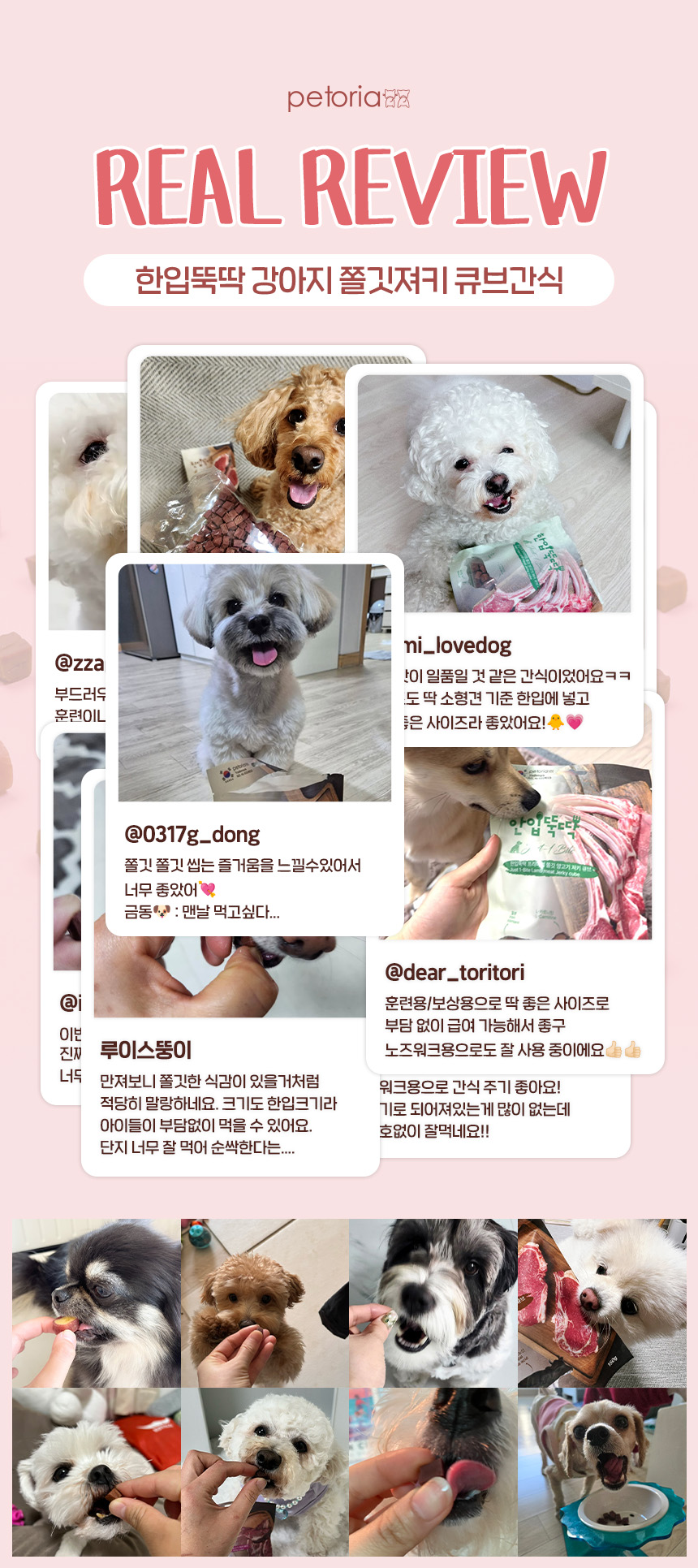 [NEW신상][무료배송] 한입뚝딱 프리미엄 쫄깃 져키 큐브 강아지 육포 150g 3번째