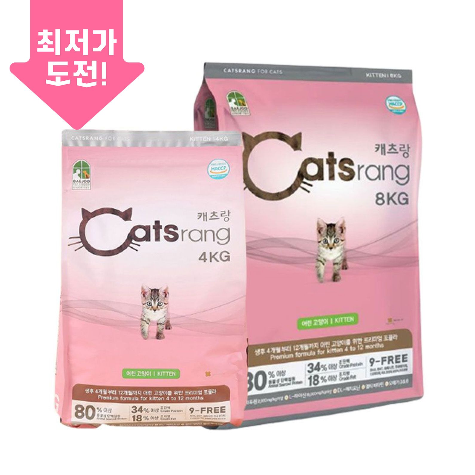 캐츠랑 키튼 모음 0번