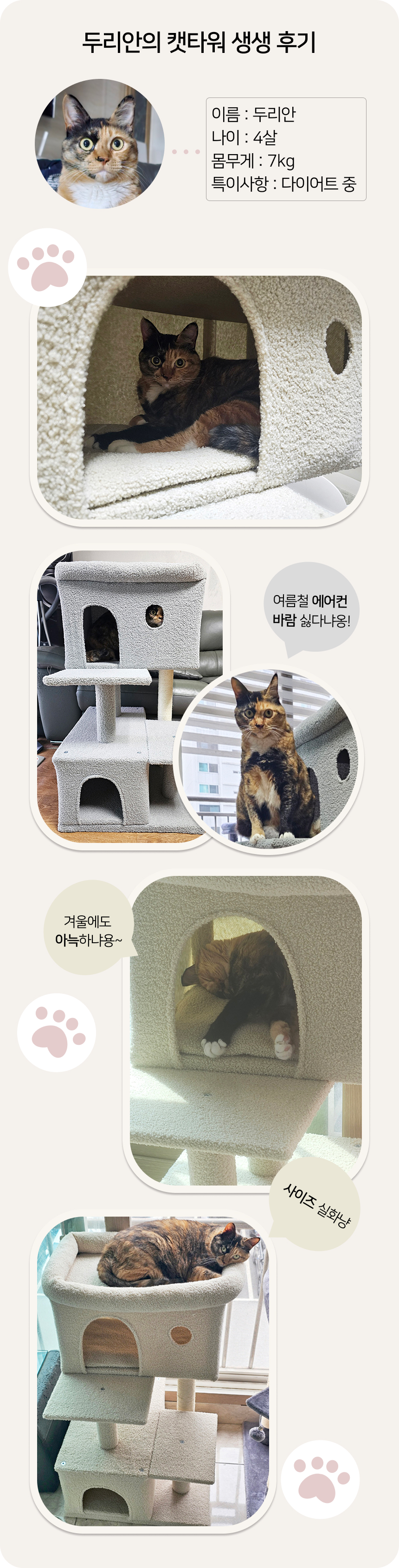 [NEW신상][무료배송] 어몽더펫 고양이 계단형 숨숨집 미니캣타워 베이지/그레이 4번째