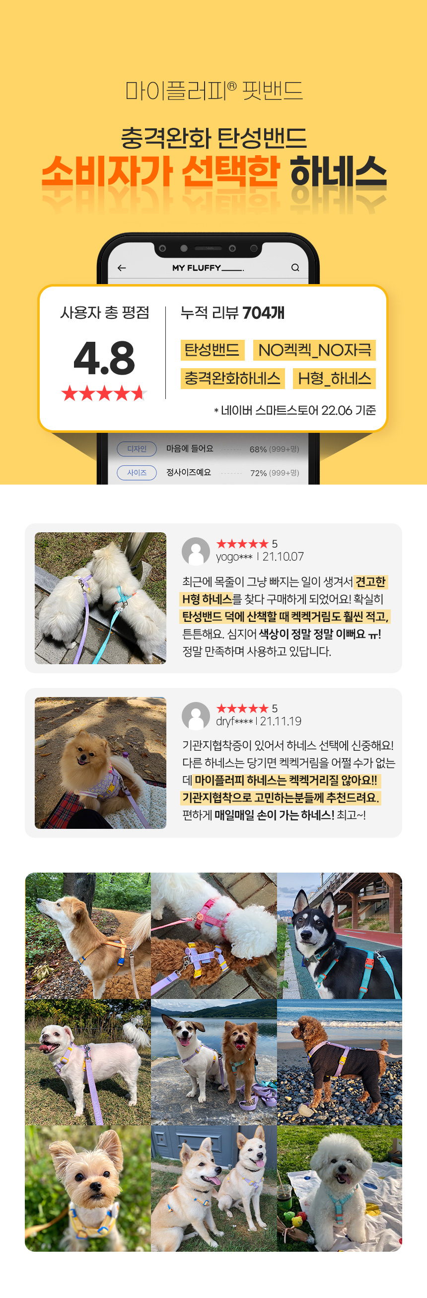 [무료배송] 마이플러피 강아지하네스 핏밴드 XS-L (4컬러) 4번째