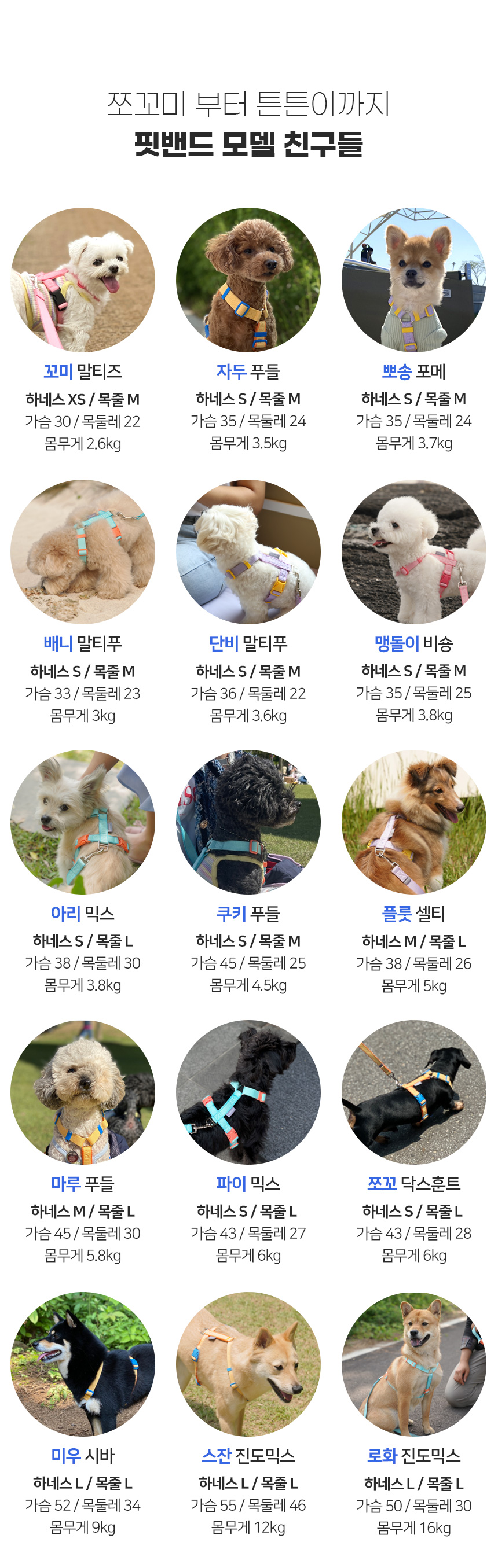 [무료배송] 마이플러피 강아지하네스 핏밴드 XS-L (4컬러) 16번째