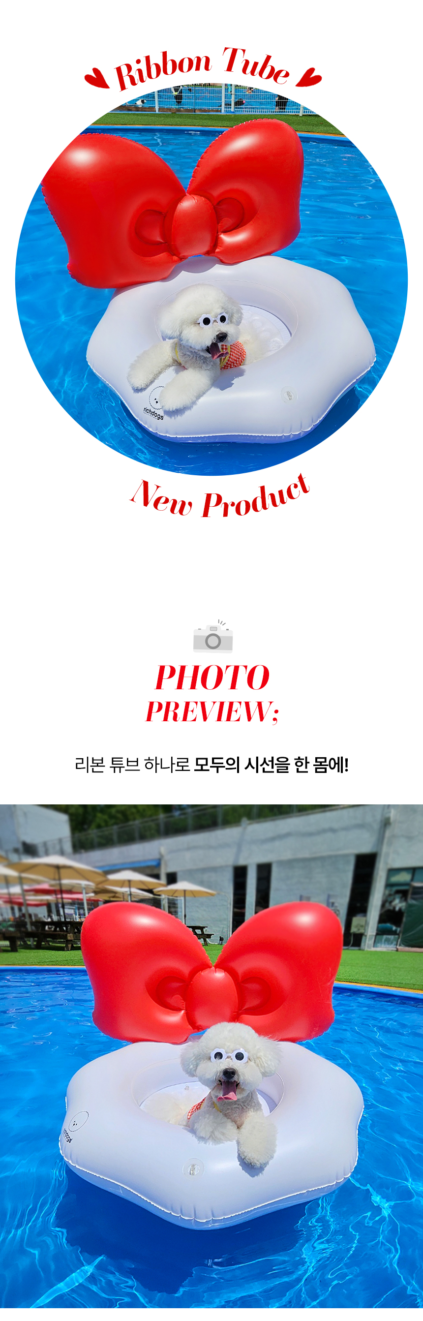 [무료배송] 리치독스 왕리본 튜브 8번째