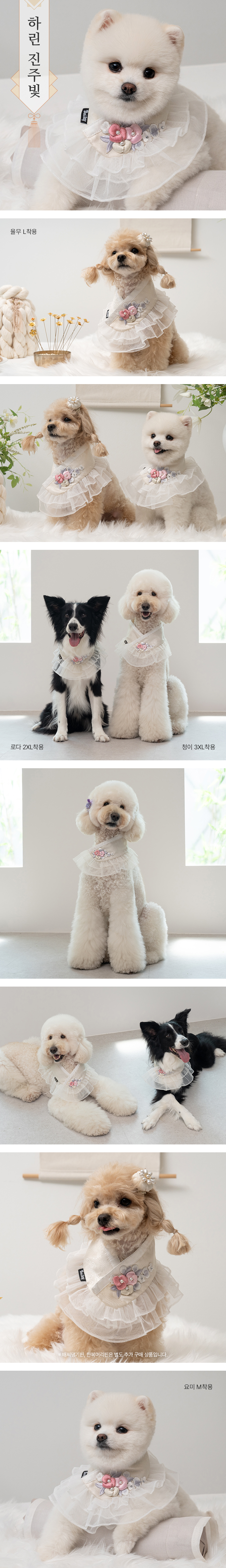 [무료배송] 베일리펫 강아지 명절 항균 하린 한복 케이프 진주빛 S-3XL 3번째