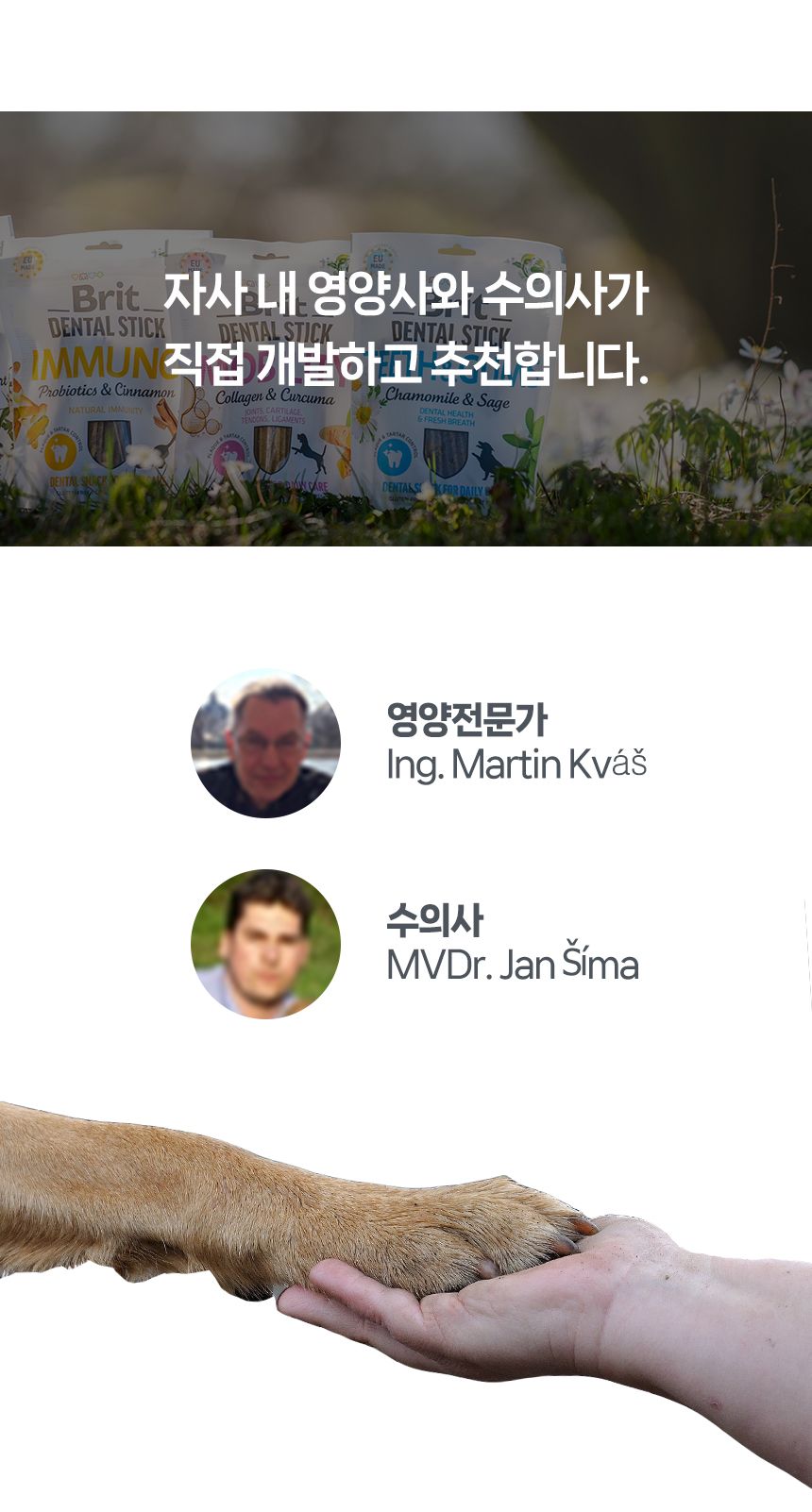 [창고대방출] 브릿 독 덴탈스틱 이뮨 프로바이오틱스&시나몬 251g 5번째