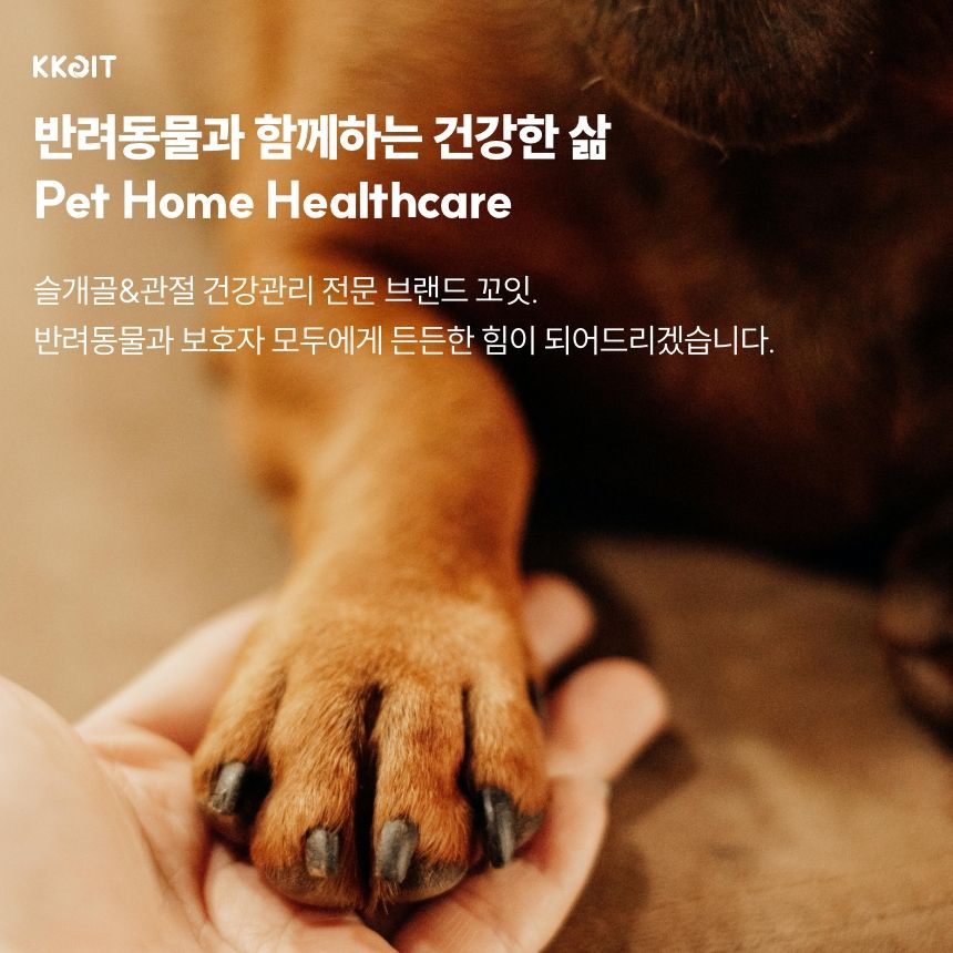 [무료배송] 꼬잇 독 슬개골 탈구 방지 보호대 V-ray Pro Therapy 홈케어 기기 빛단자 XS-M 26번째