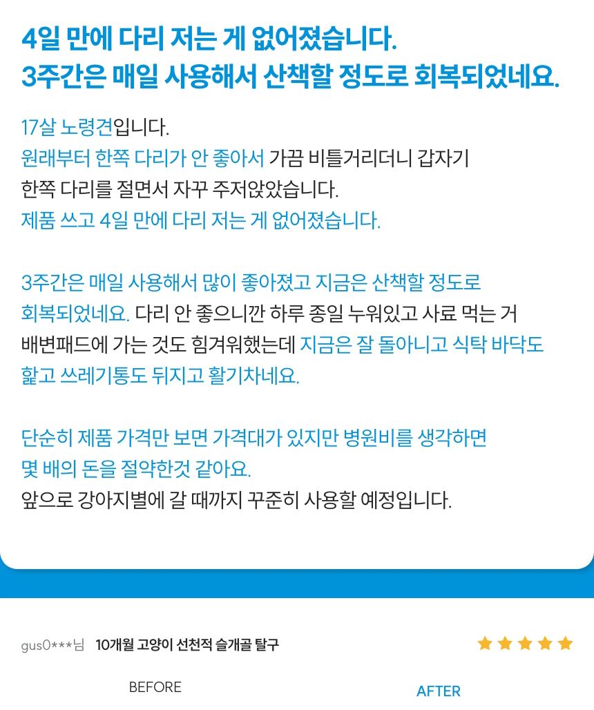 [무료배송] 꼬잇 독 슬개골 탈구 방지 보호대 V-ray Pro Therapy 홈케어 기기 빛단자 XS-M 13번째