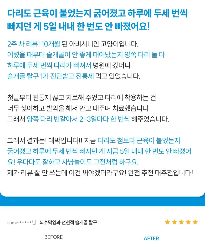 [무료배송] 꼬잇 독 슬개골 탈구 방지 보호대 V-ray Pro Therapy 홈케어 기기 빛단자 XS-M 15번째