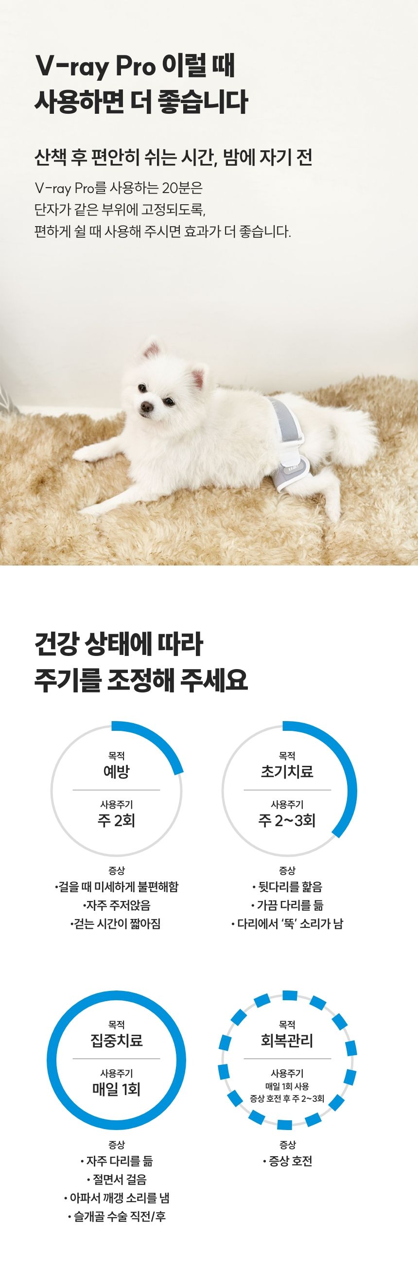 [무료배송] 꼬잇 독 슬개골 탈구 방지 보호대 V-ray Pro Therapy 홈케어 기기 빛단자 XS-M 24번째