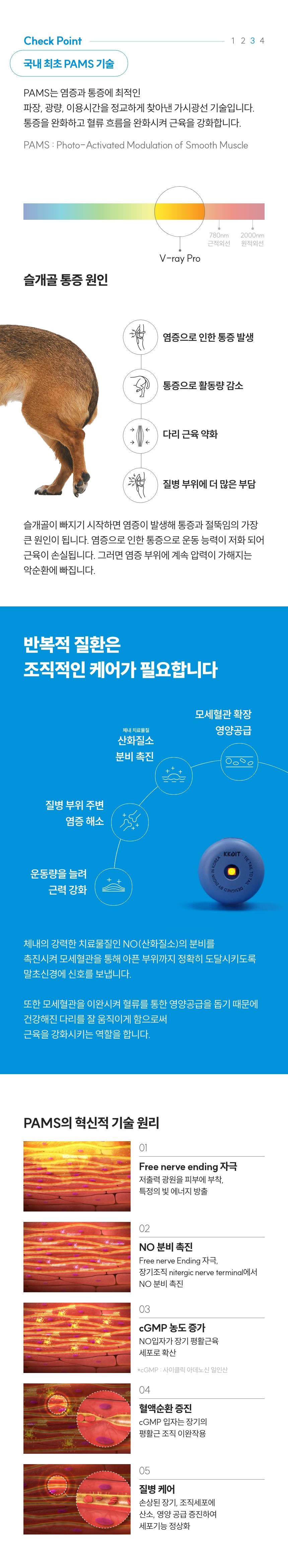 [무료배송] 꼬잇 독 슬개골 탈구 방지 보호대 V-ray Pro Therapy 홈케어 기기 빛단자 XS-M 19번째