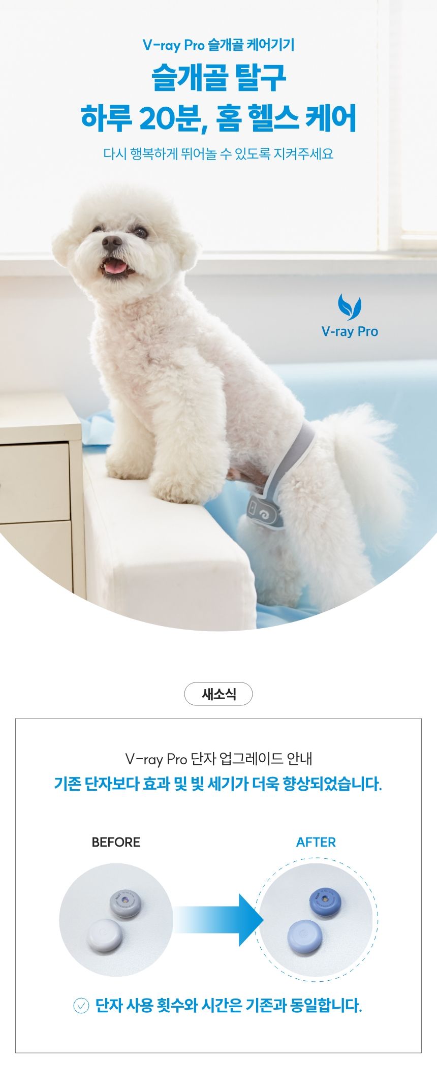 [무료배송] 꼬잇 독 슬개골 탈구 방지 보호대 V-ray Pro Therapy 홈케어 기기 빛단자 XS-M 1번째