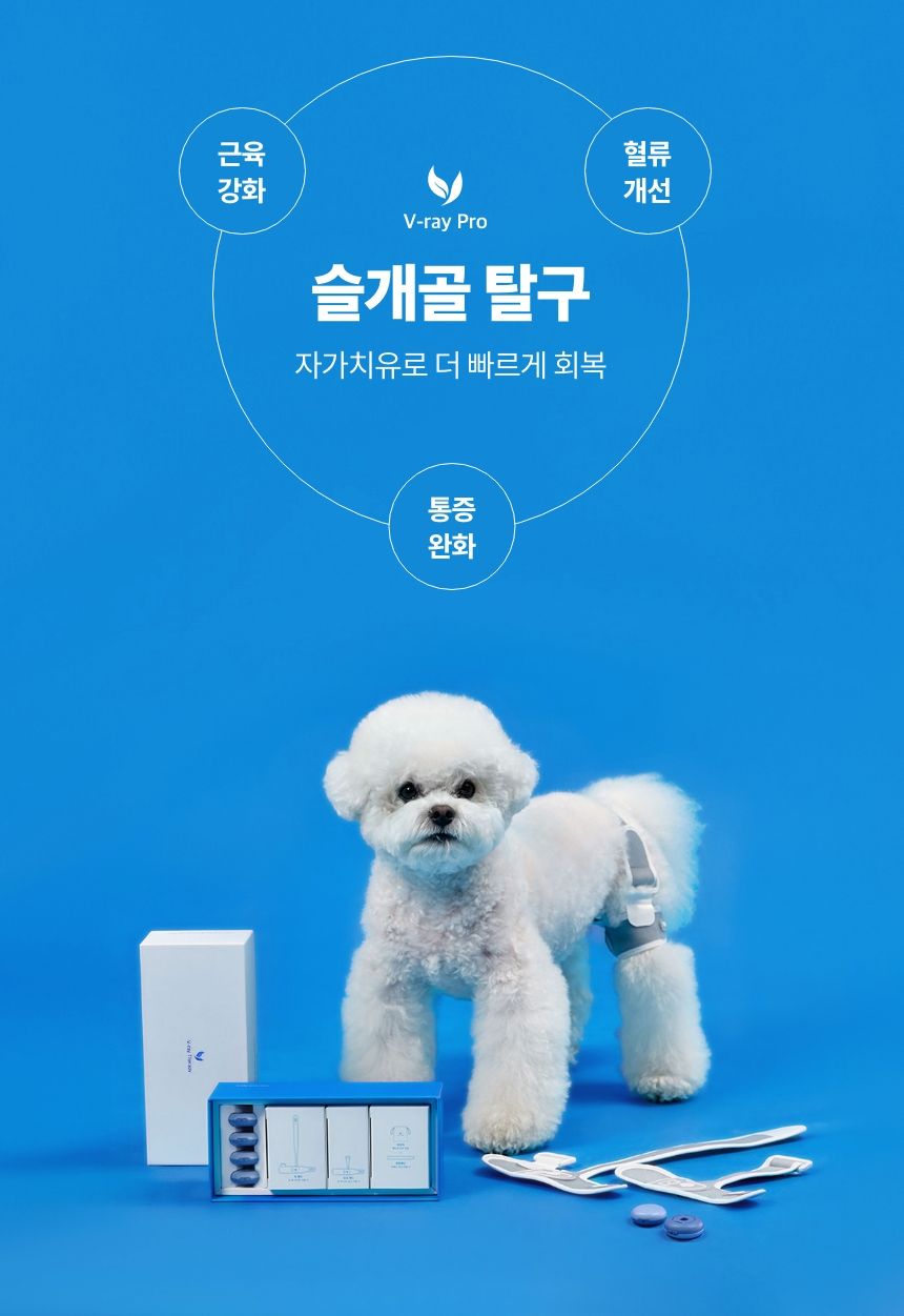 [무료배송] 꼬잇 독 슬개골 탈구 방지 보호대 V-ray Pro Therapy 홈케어 기기 빛단자 XS-M 2번째