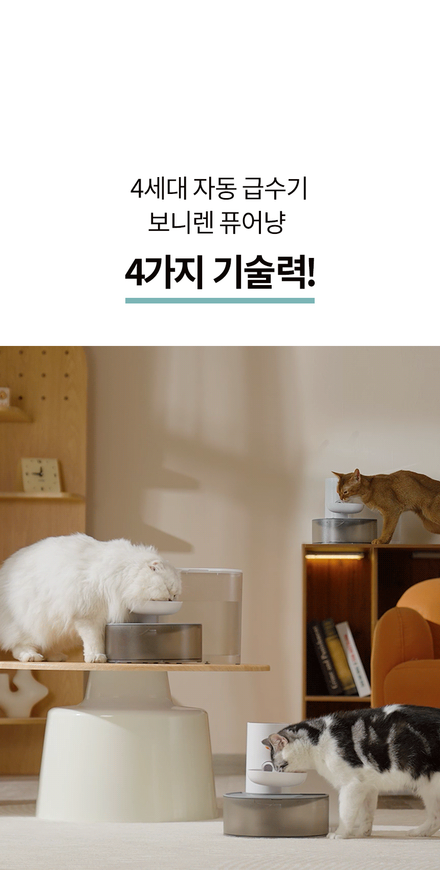 [NEW신상][무료배송] 보니렌 퓨어냥 필터제로 충전식 자동급수기 24번째