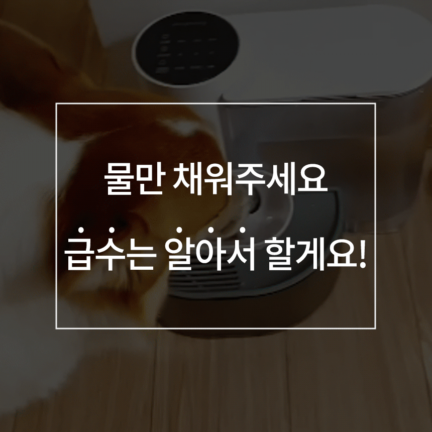[NEW신상][무료배송] 보니렌 퓨어냥 필터제로 충전식 자동급수기 41번째