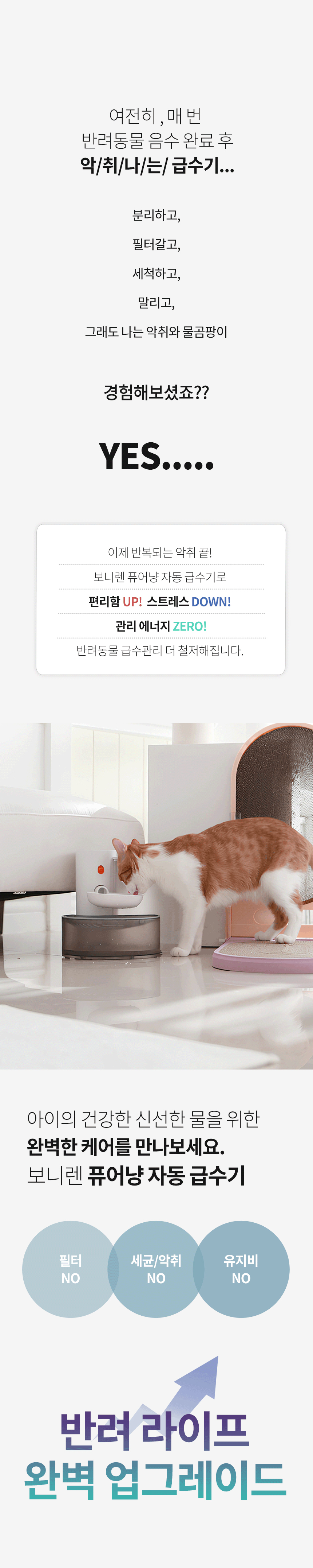 [NEW신상][무료배송] 보니렌 퓨어냥 필터제로 충전식 자동급수기 5번째