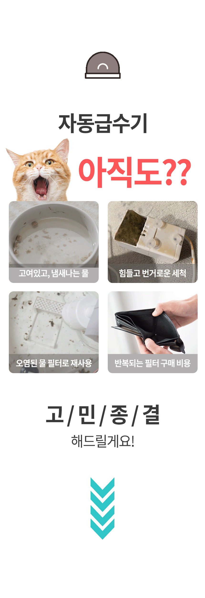 [NEW신상][무료배송] 보니렌 퓨어냥 필터제로 충전식 자동급수기 2번째