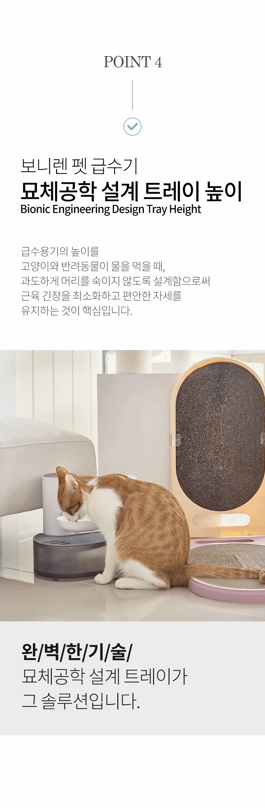 [NEW신상][무료배송] 보니렌 퓨어냥 필터제로 충전식 자동급수기 29번째