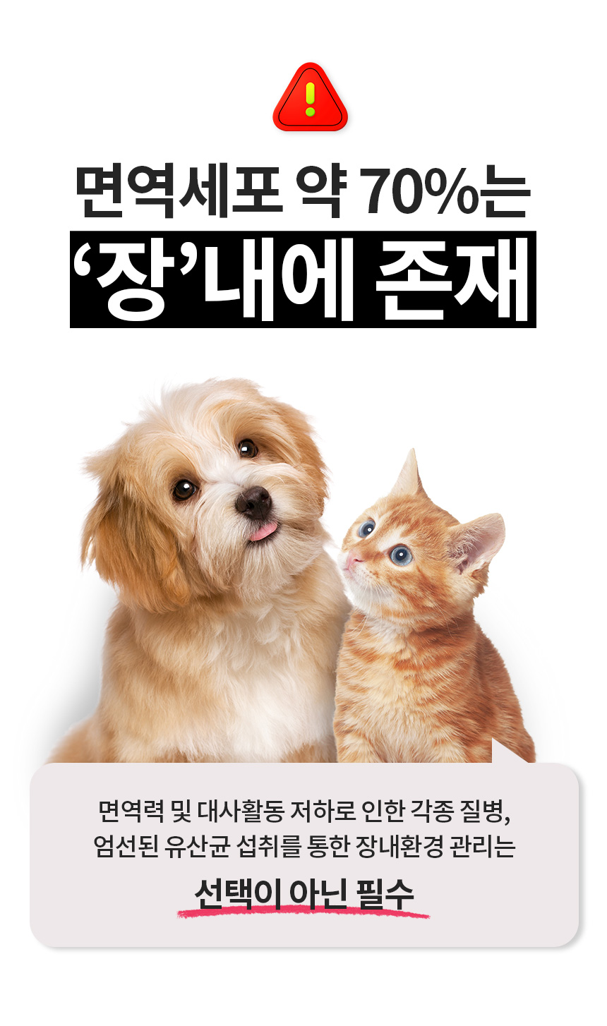 [무료배송] 멍스냥스 강아지 고양이 유산균 민트 30일분 8번째