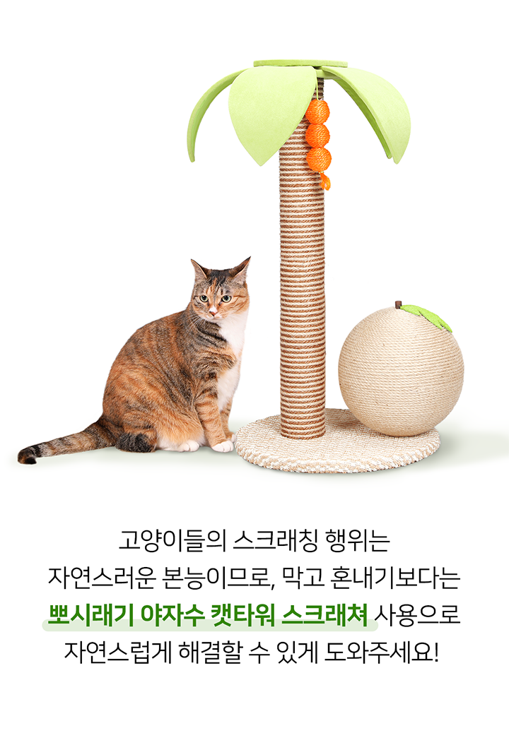 [무료배송] 뽀시래기 야자수 캣타워 스크래쳐 4번째