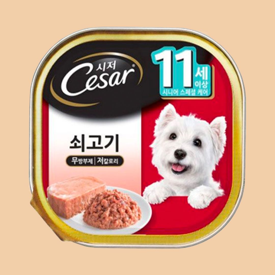 시저 독 쇠고기 11세이상 캔 제품
