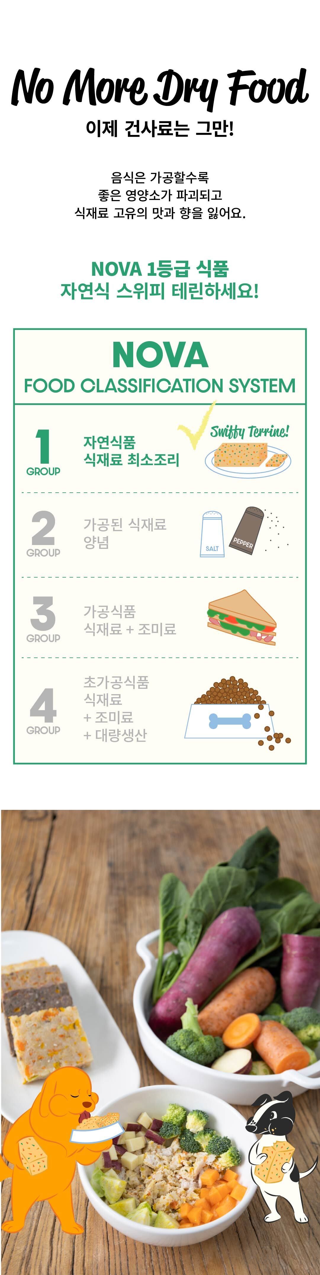 [무료배송] 스위피 자연식 테린 한 달 세트 7번째