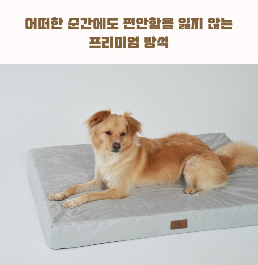 [NEW신상][무료배송] 펫앤마마 대형견 에어폼 사각방석 2종 (그레이/진그레이) L~2XL 7번째