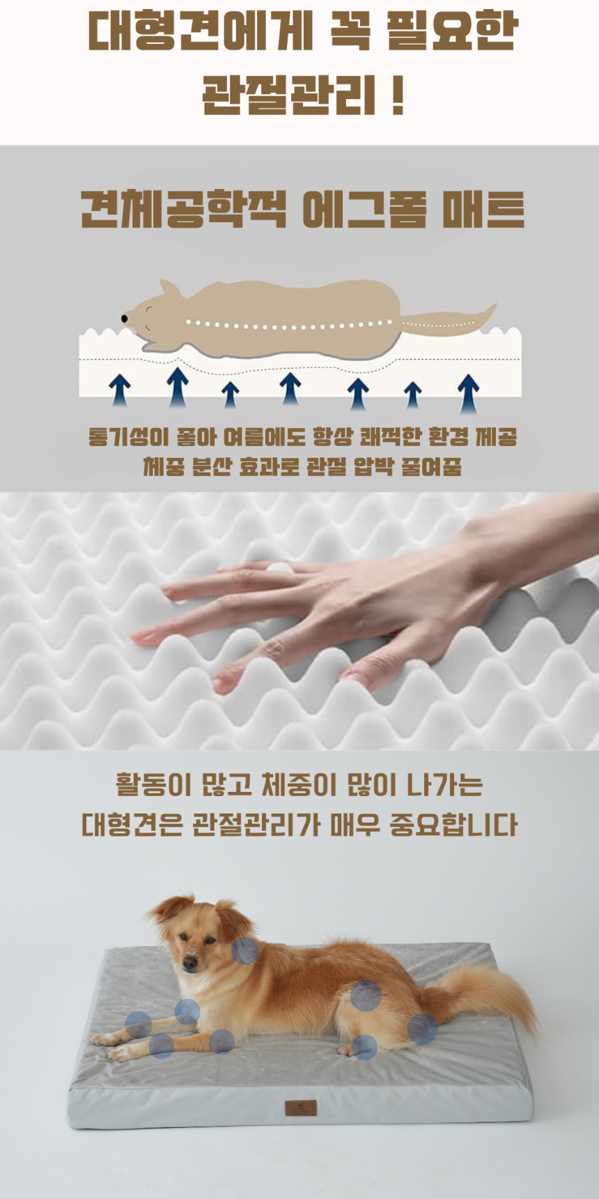 [NEW신상][무료배송] 펫앤마마 대형견 에어폼 사각방석 2종 (그레이/진그레이) L~2XL 2번째