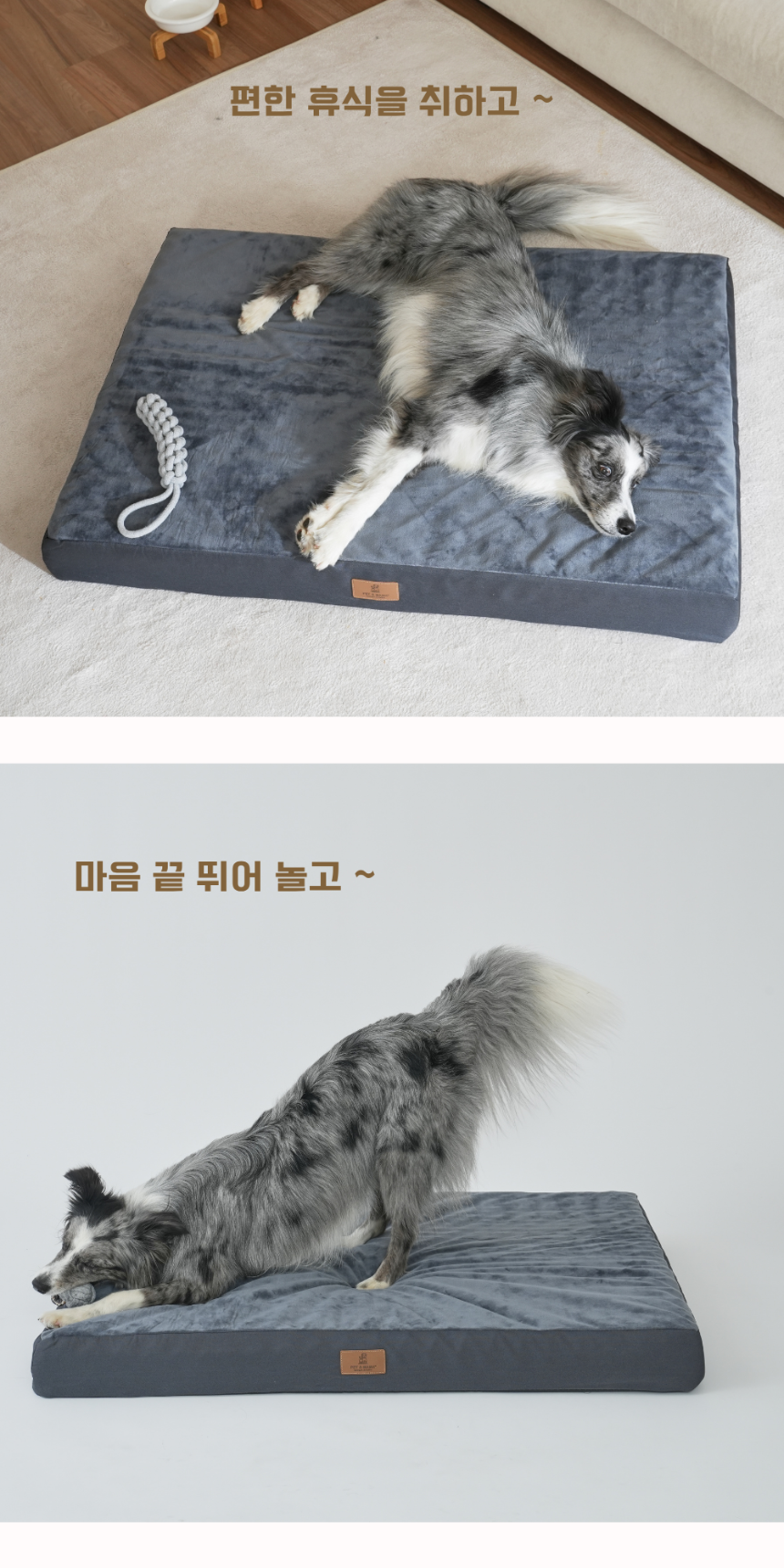 [NEW신상][무료배송] 펫앤마마 대형견 에어폼 사각방석 2종 (그레이/진그레이) L~2XL 6번째