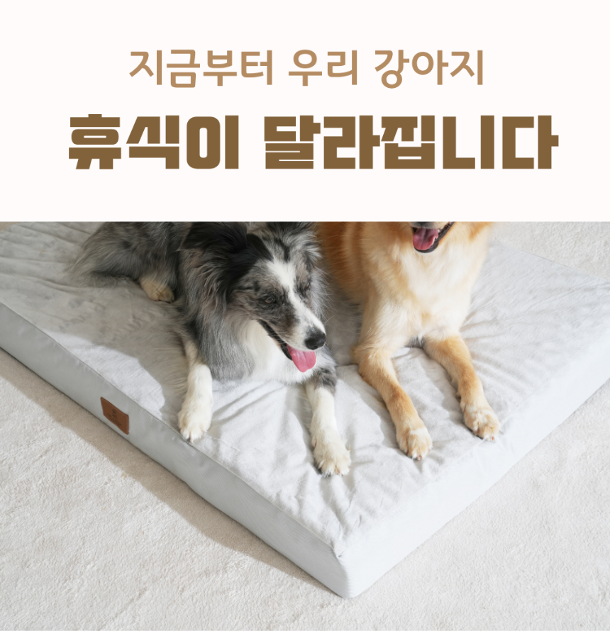 [NEW신상][무료배송] 펫앤마마 대형견 에어폼 사각방석 2종 (그레이/진그레이) L~2XL 3번째