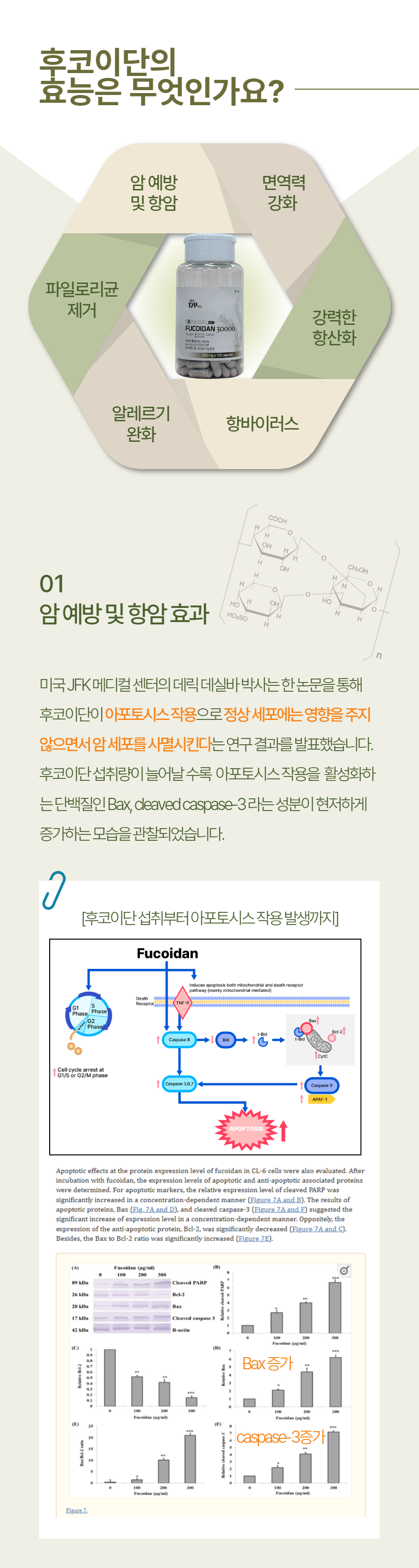 [무료배송] 리뉴얼벳 강아지 후코이단 30000 캡슐형 120개입 5번째