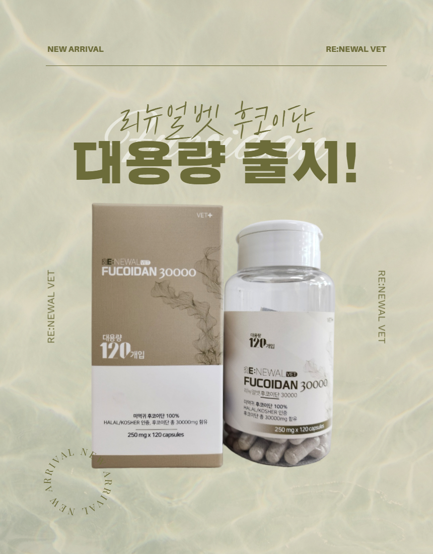 [무료배송] 리뉴얼벳 강아지 후코이단 30000 캡슐형 120개입 1번째