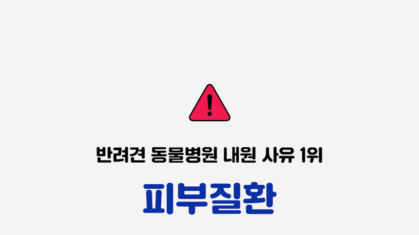 [무료배송] 라이프펫 강아지 피부영양제 스킨케어 90g 6번째