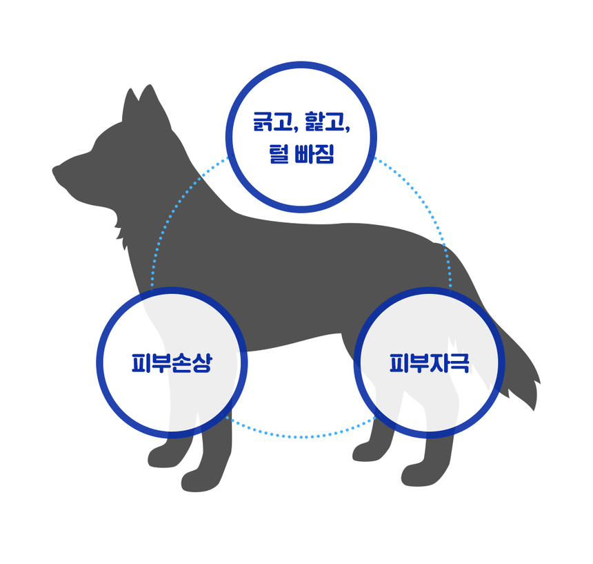 [무료배송] 라이프펫 강아지 피부영양제 스킨케어 90g 9번째