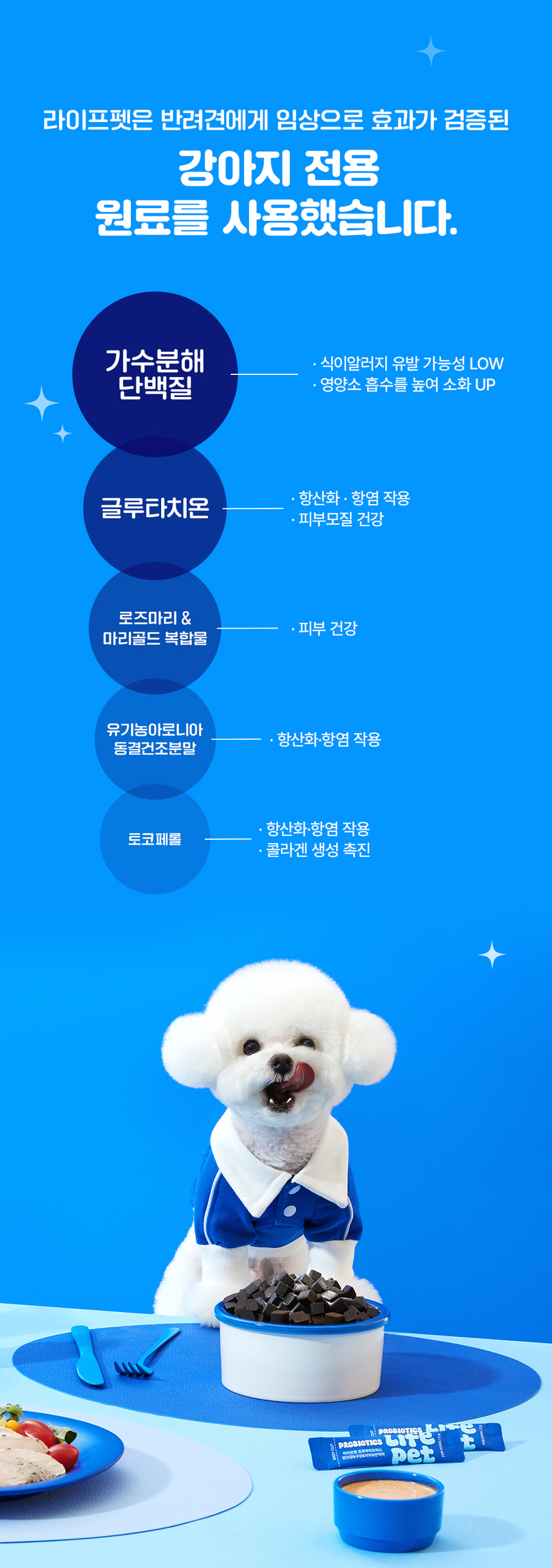[무료배송] 라이프펫 강아지 피부영양제 스킨케어 90g 15번째