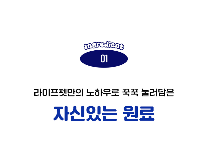 [무료배송] 라이프펫 강아지 피부영양제 스킨케어 90g 13번째