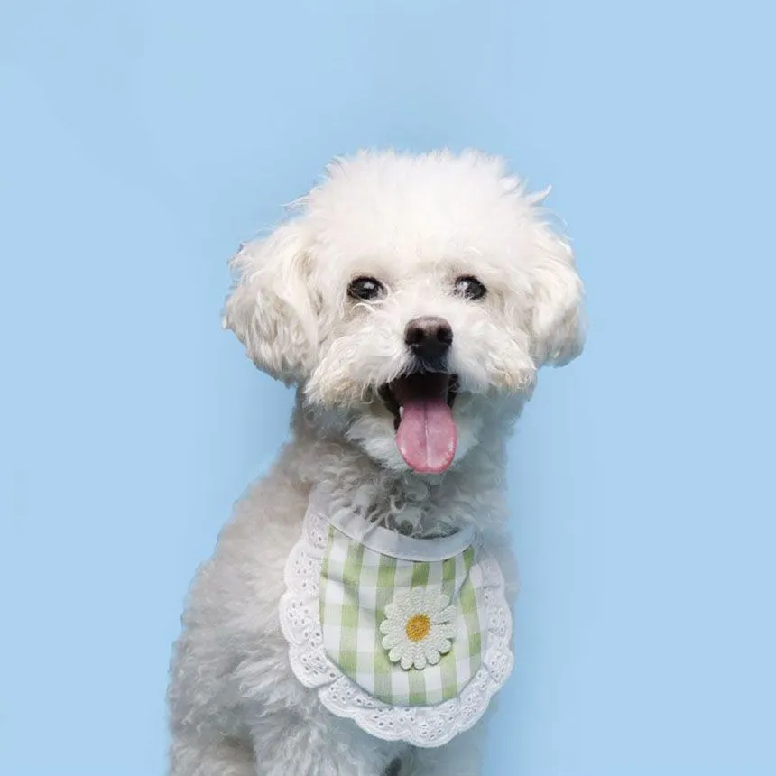 펫플라이 플라워 스카프 그린 L