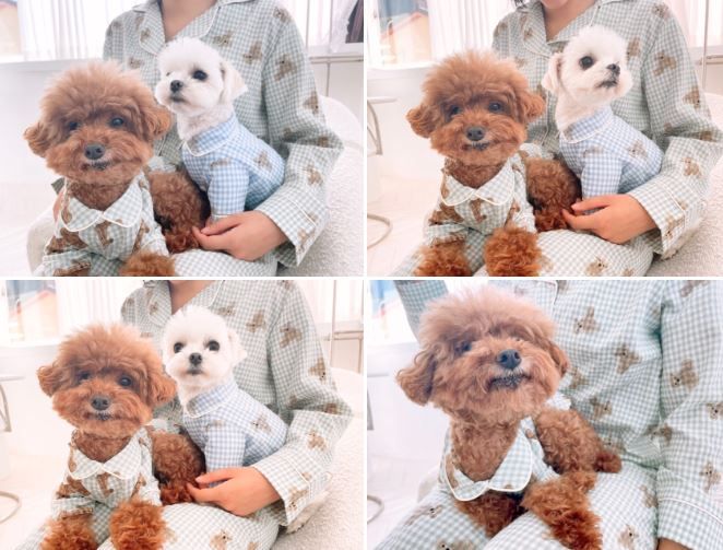 [무료배송] 찰리롤리 디키 곰 체크 파자마 커플룩 민트/블루 S-2XL 4번째