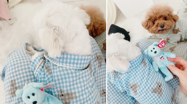[무료배송] 찰리롤리 디키 곰 체크 파자마 커플룩 민트/블루 S-2XL 10번째