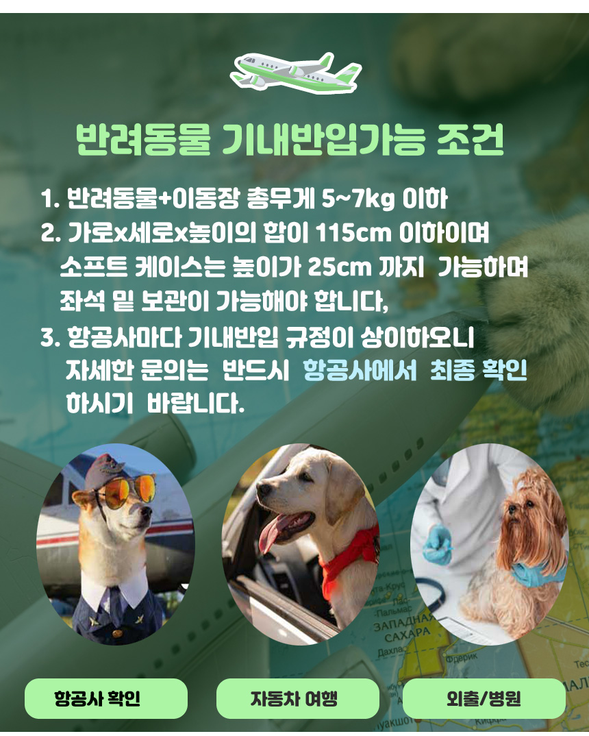 [무료배송] 스페이스캣 사방팔방 통풍 이동가방 기내용 6번째